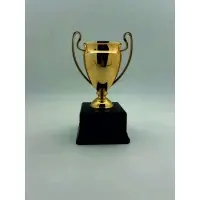 Okul Kupası Altın Ödül Kupaları 