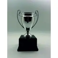 Ödül Kupası Gümüş Ödül Kupaları 