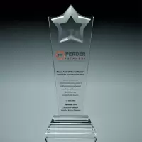 Kristal Ödül Model 1