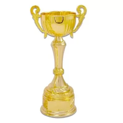 Okul Kupası Altın Ödül Kupaları 