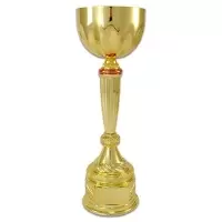 Okul Kupası Altın Ödül Kupaları 