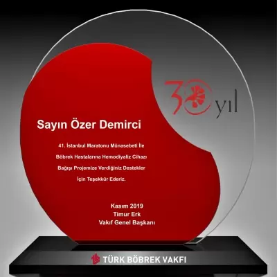 Özel Tasarım Creative Award Model 1