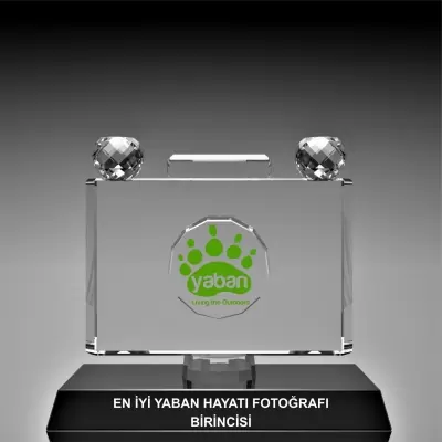 Özel Tasarım Creative award Model  3